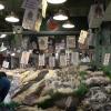 Pike Fish Market